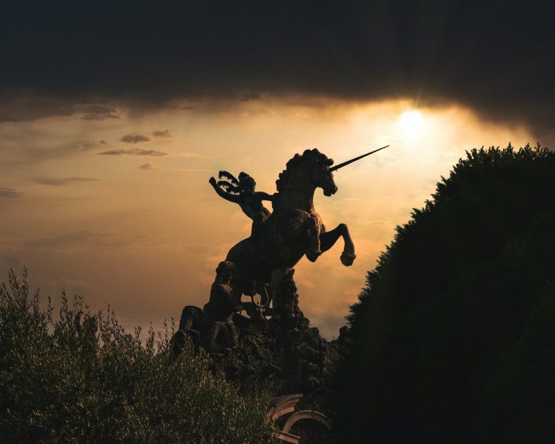 man riding a unicorn