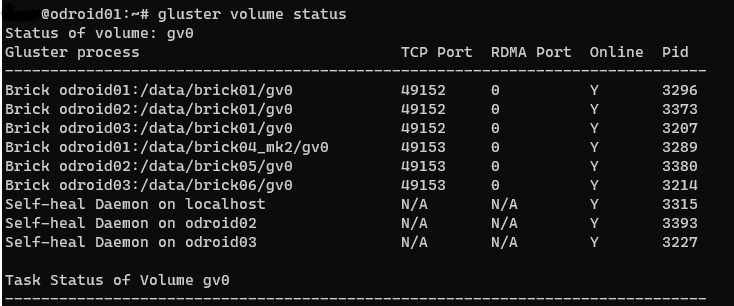 Checking volume status from odroid01